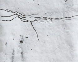 Relief / Paperclay